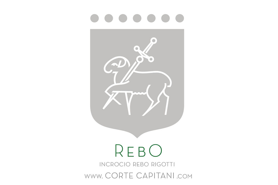 Rebo - IGT Veneto 2019