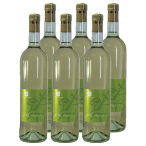 Cartone – Filo Bianco 2023