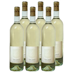 Cartone – Solaris 2023