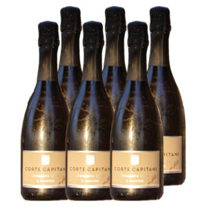 Cartone “il Manzoni” Spumente 2024 en